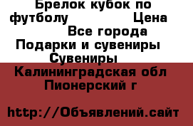 Брелок кубок по футболу Fifa 2018 › Цена ­ 399 - Все города Подарки и сувениры » Сувениры   . Калининградская обл.,Пионерский г.